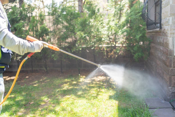 Best Organic or Eco-Friendly Pest Control  in Dickinson, TX